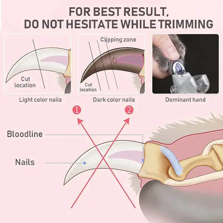 Diagram showing guidelines for using pet nail clipper scissors with LED light, highlighting cutting zones and nail types.