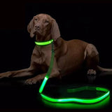 "LED Light Up Dog Leash – USB rechargeable