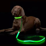 LED Light Up Dog Leash - USB Rechargeable