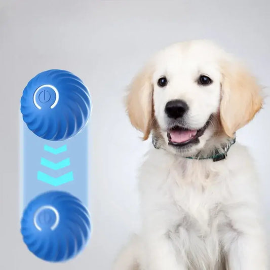 Interactive dog ball toy displayed next to a golden retriever puppy, showcasing its fun and engaging design.