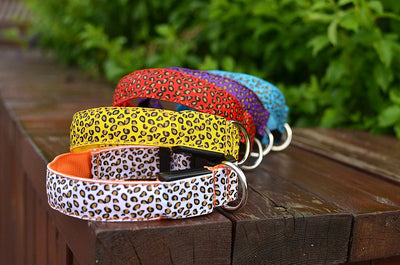 Stylish Leopard Print LED Dog Collar