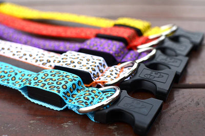 Stylish LED dog collars in various colors with leopard print designs; perfect for nighttime safety walks.