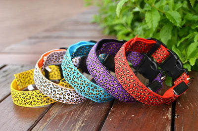 Stylish LED dog collars in various colors with leopard print designs; perfect for nighttime safety walks.