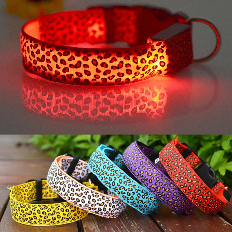 Stylish LED dog collars in various colors with leopard print designs; perfect for nighttime safety walks.