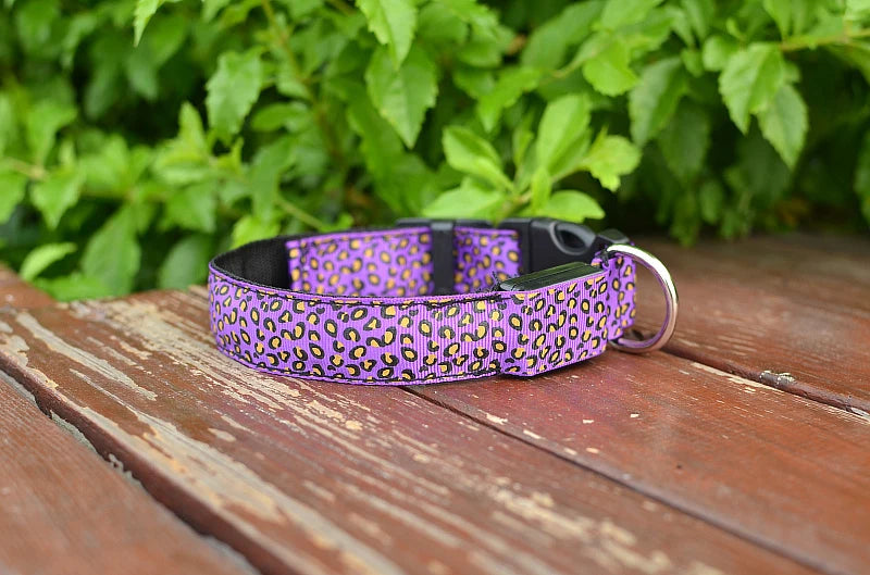 Stylish Leopard Print LED Dog Collar