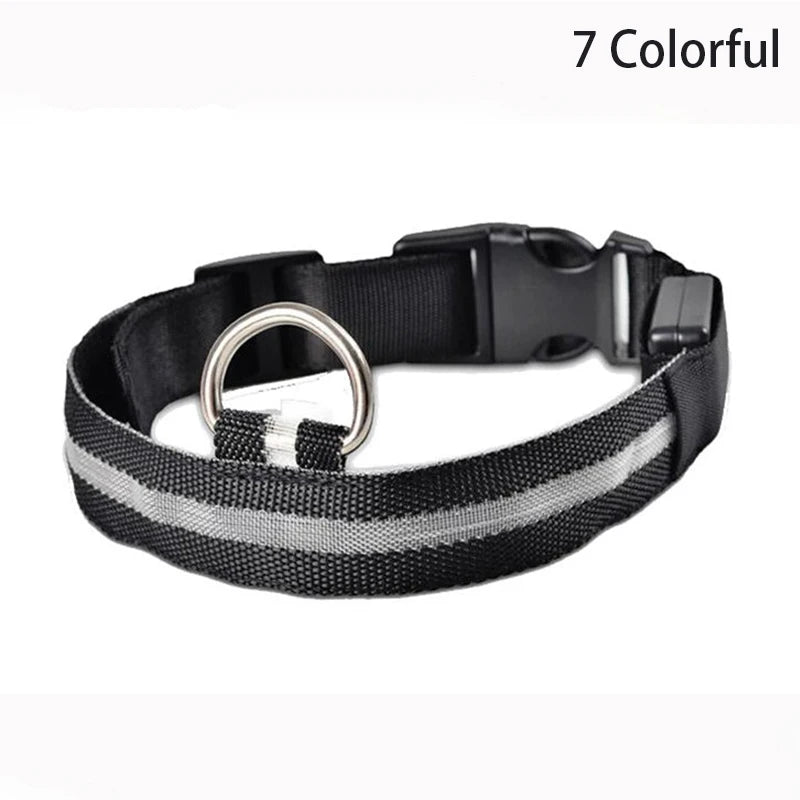 Black and gray dog collar with reflective stripes and buckle closure, featuring a metal ring for leash attachment.