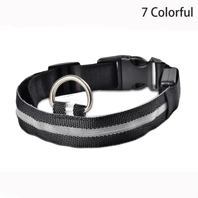 Black and gray dog collar with reflective stripes and buckle closure, featuring a metal ring for leash attachment.