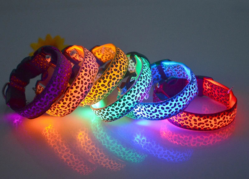 LED dog collar with stylish leopard print, glowing in various colors, displayed on a dog figure.