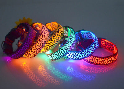 LED dog collar with stylish leopard print, glowing in various colors, displayed on a dog figure.