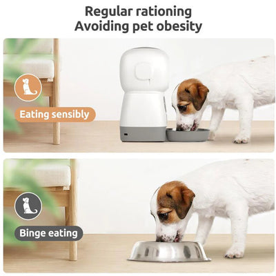 Automatic pet feeder for cats with LCD display and smartphone control, accompanied by a relaxed cat.