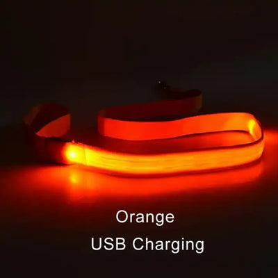 "LED Light Up Dog Leash – USB rechargeable