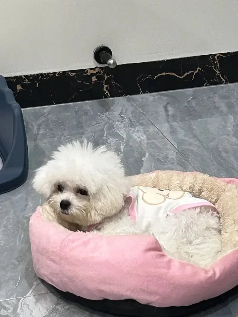 Soft Warm Dog Bed Pets Basket Cat House Sofa for Medium Large Dog Sofa Bed Cushion Dog Bed House Pet Supplies Accessories