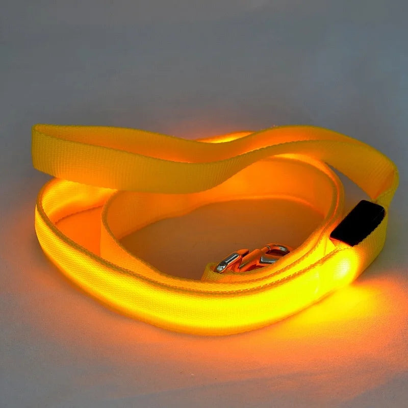 "LED Light Up Dog Leash – USB rechargeable