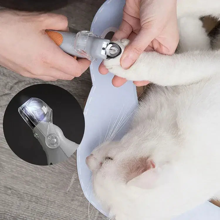 Person using pet nail clipper scissors with LED light on a cat's paw, showing the clipper's illuminated edge.