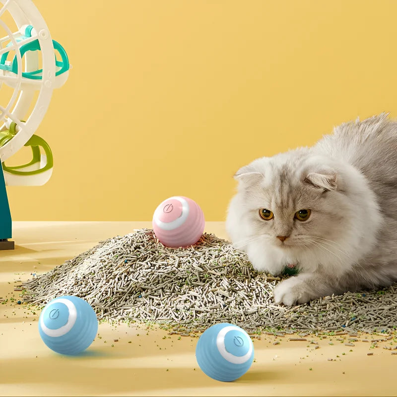 Smart Ball for Cats – Fun, Long-Lasting