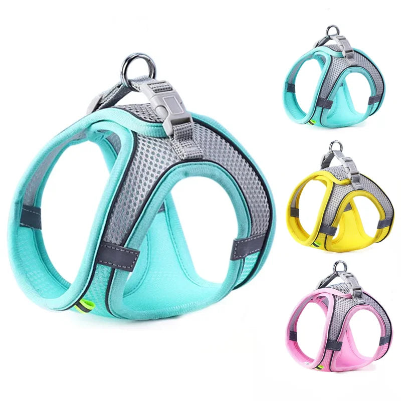 Colorful pet harness set featuring turquoise, yellow, and pink options, designed for comfort and style.