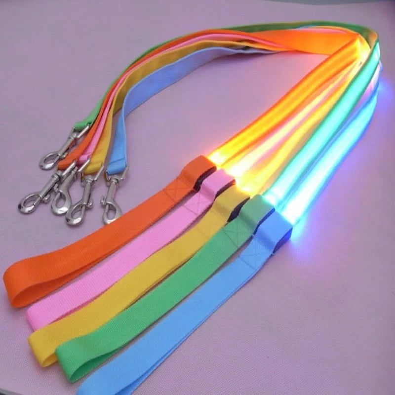 "LED Light Up Dog Leash – USB rechargeable