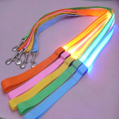 "LED Light Up Dog Leash – USB rechargeable