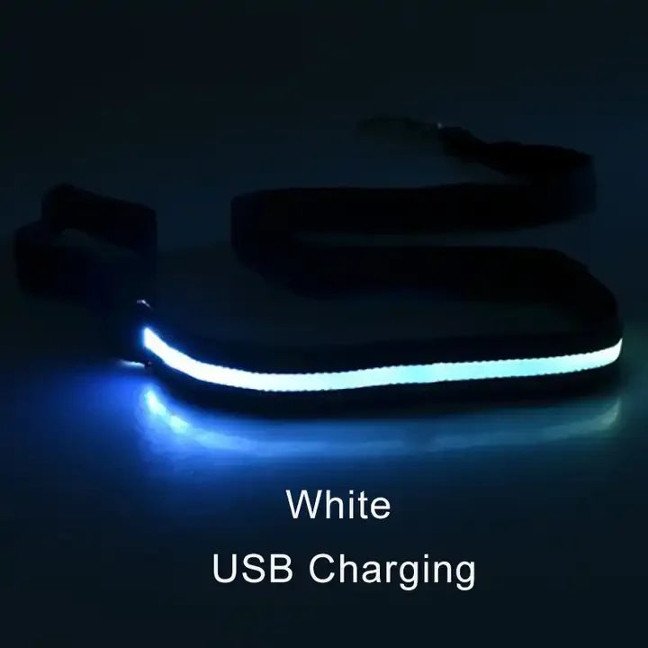 "LED Light Up Dog Leash – USB rechargeable