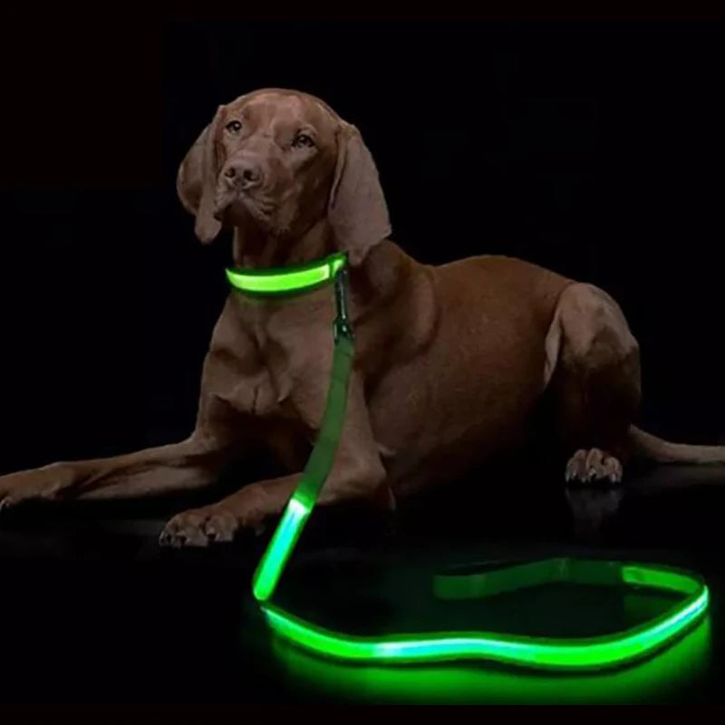 "LED Light Up Dog Leash – USB rechargeable