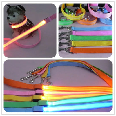 "LED Light Up Dog Leash – USB rechargeable