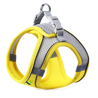 Colorful pet harness set featuring turquoise, yellow, and pink options, designed for comfort and style.