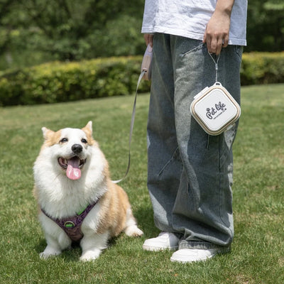 Thickened Folding Pet Bowls Outdoor