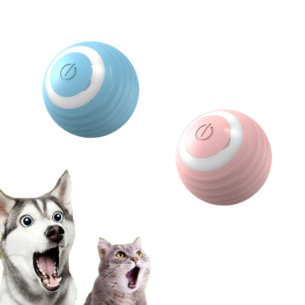 Smart Ball for Cats – Fun, Long-Lasting