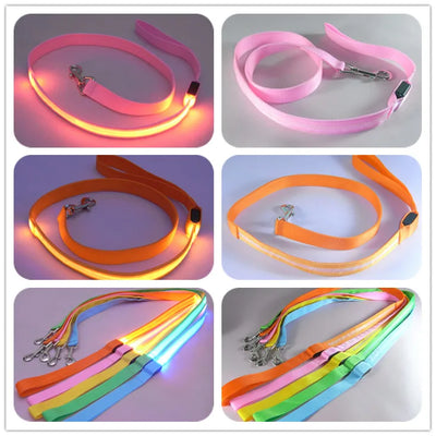 "LED Light Up Dog Leash – USB rechargeable