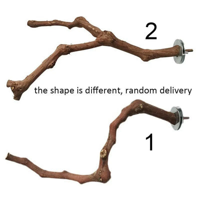 Cage Perches Pet Budgie Wood Parrot Bird Stand Tree Branch Hanging Toys