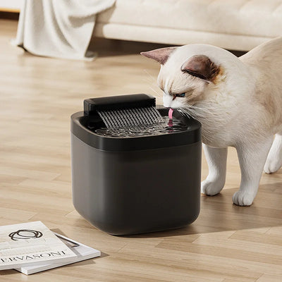 Shop our Pet Water Fountain - Stay Hydrated & Happy. Perfect for keeping your cats hydrated!