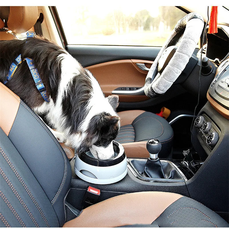 Pet Dog Bowls Floating Not Wetting