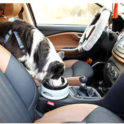 Pet Dog Bowls Floating Not Wetting