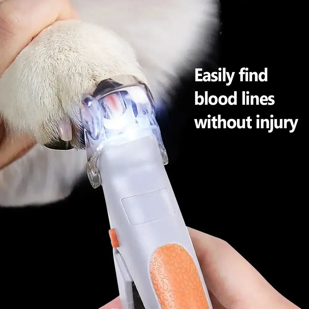 Pet nail clipper scissors with LED light showing the tool in use for safe nail trimming.