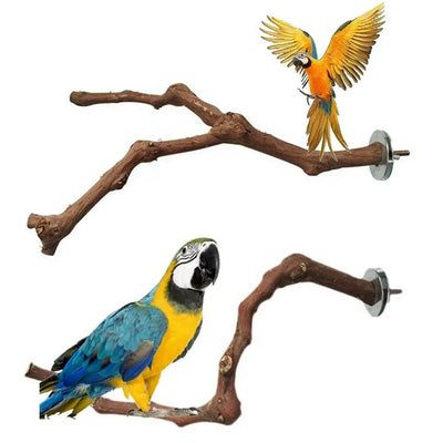 Cage Perches Pet Budgie Wood Parrot Bird Stand Tree Branch Hanging Toys