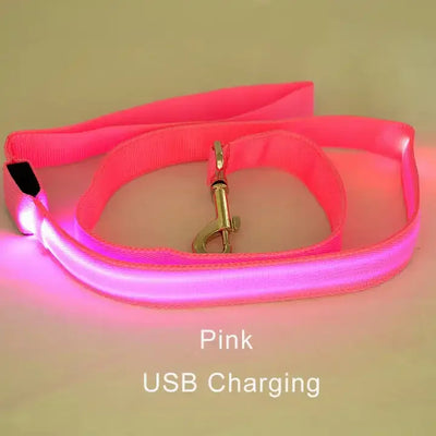 "LED Light Up Dog Leash – USB rechargeable
