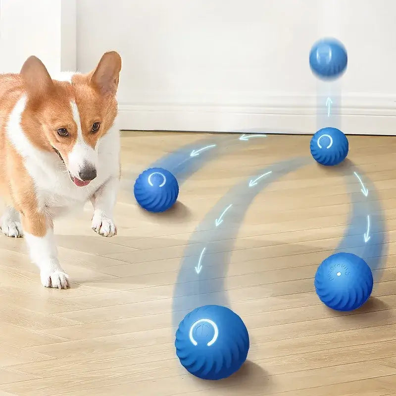 Interactive dog ball toy in action with a Corgi playing and blue balls moving across a wooden floor.