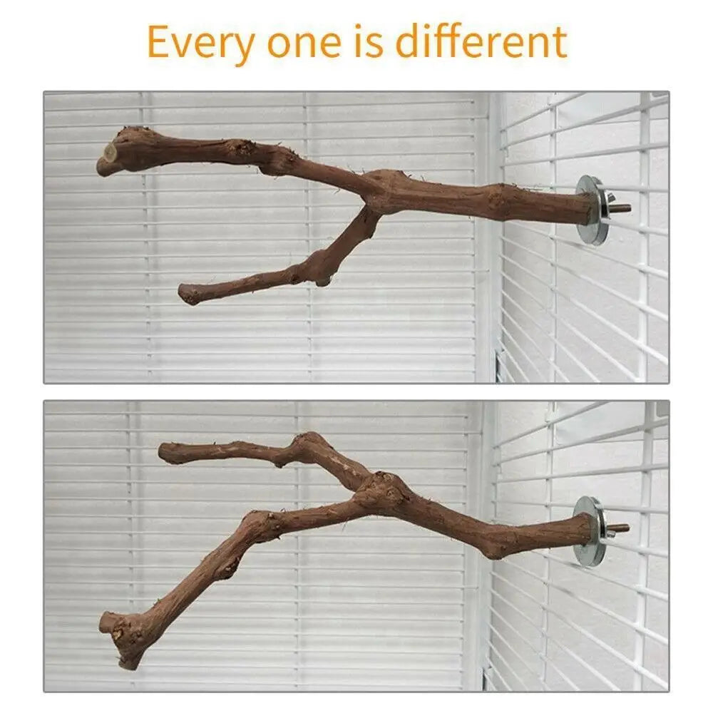 Cage Perches Pet Budgie Wood Parrot Bird Stand Tree Branch Hanging Toys