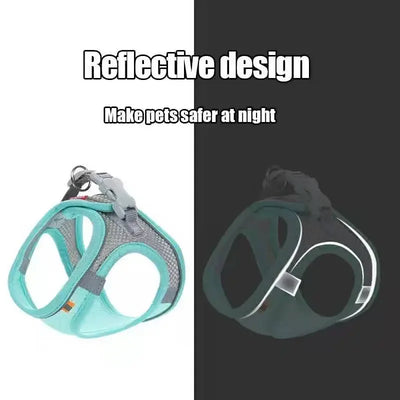 Reflective pet harness design showcasing visibility for nighttime safety in teal and gray colors.