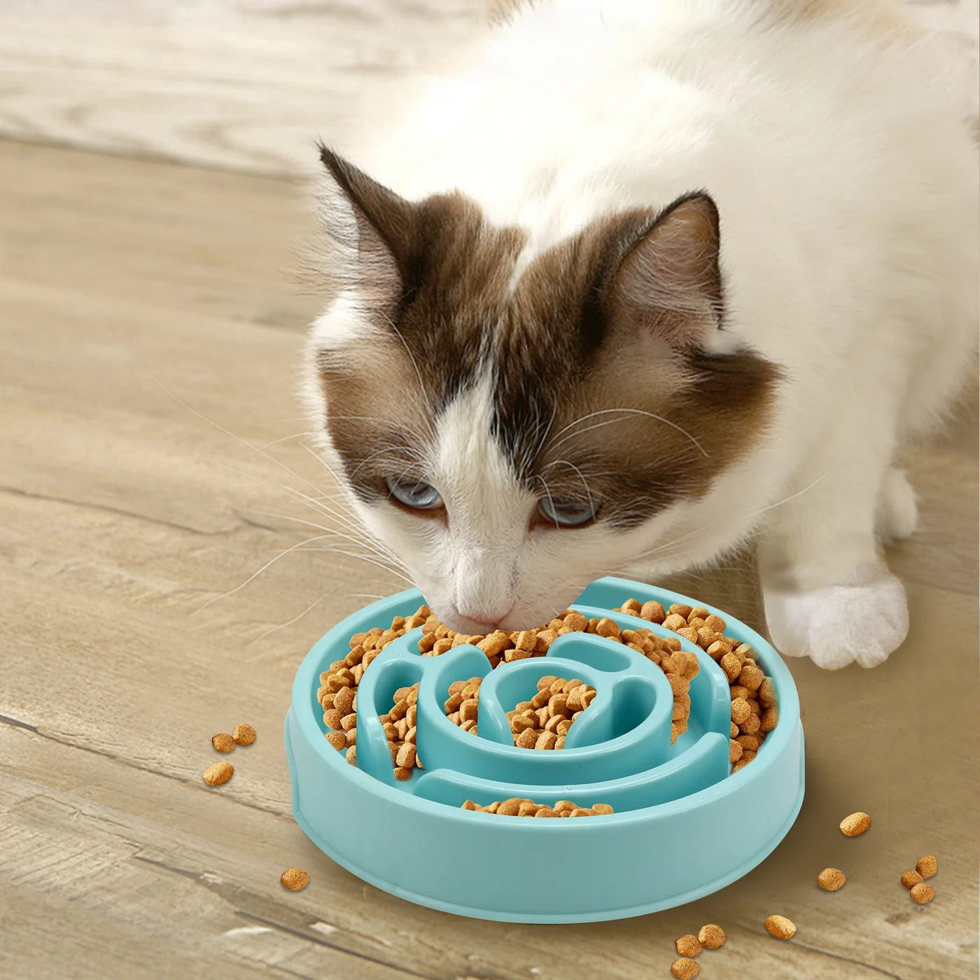 French Bulldog using a colorful slow food bowl designed to promote healthy eating habits and prevent indigestion.