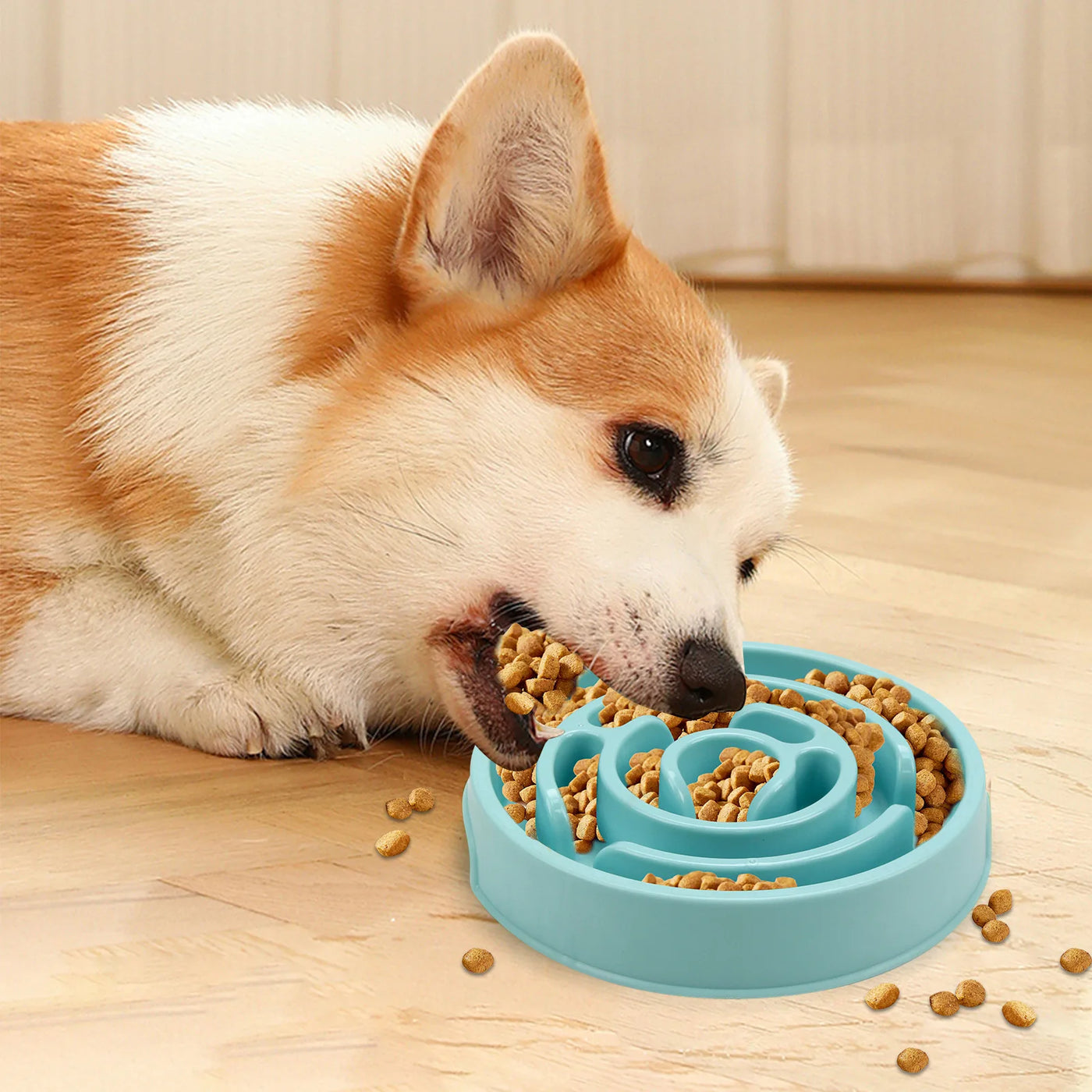 French Bulldog using a colorful slow food bowl designed to promote healthy eating habits and prevent indigestion.