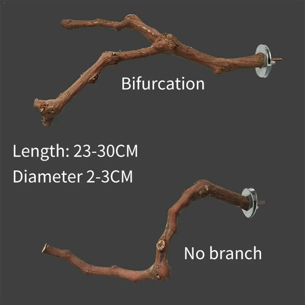 Cage Perches Pet Budgie Wood Parrot Bird Stand Tree Branch Hanging Toys