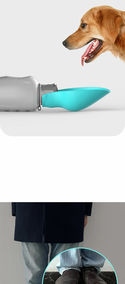 800ml portable dog water bottle for large dogs in green, blue, and pink, with a dog drinking water from it.