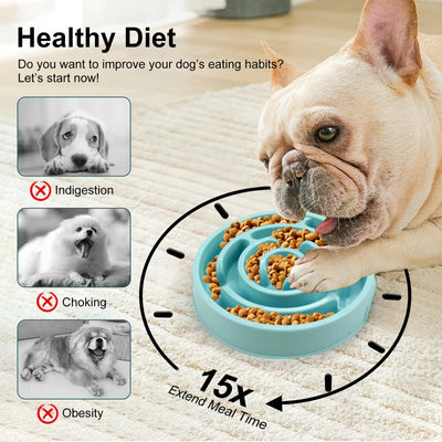 French Bulldog using a colorful slow food bowl designed to promote healthy eating habits and prevent indigestion.