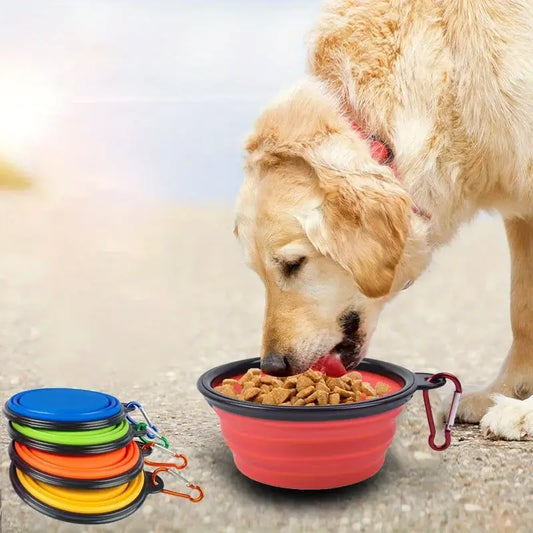 Folding dog bowl for camping in bright colors with a dog eating from it, perfect for outdoor adventures.