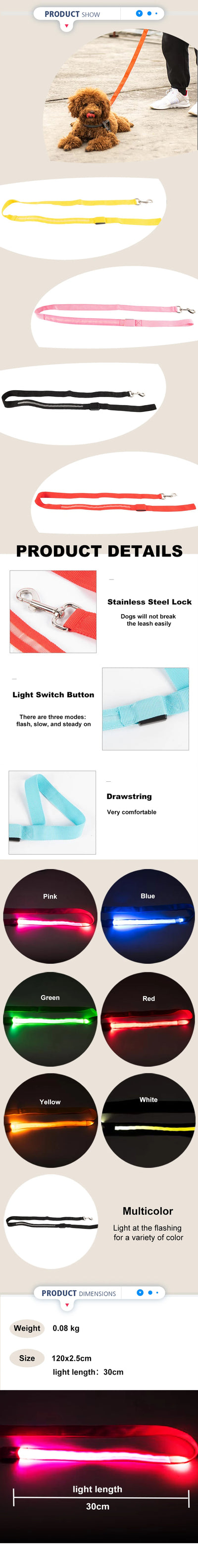 "LED Light Up Dog Leash – USB rechargeable