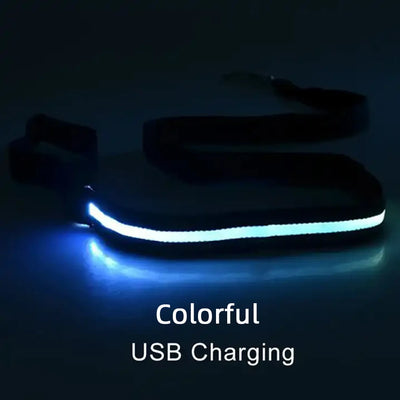 "LED Light Up Dog Leash – USB rechargeable