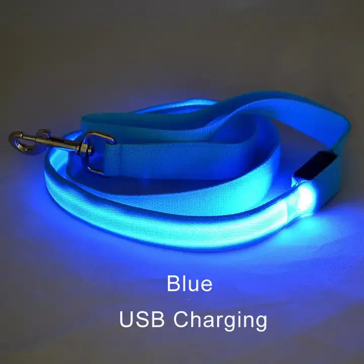 "LED Light Up Dog Leash – USB rechargeable